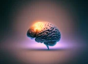 The brain develops rapidly during the early years.