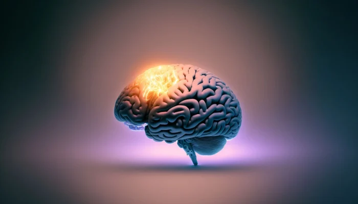 The brain develops rapidly during the early years.