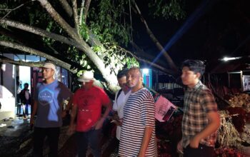 Hujan Deras dan Angin Kencang Terjang Lhokseumawe, 30 Pohon Tumbang dan 27 Kios Rusak