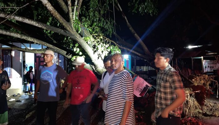 Hujan Deras dan Angin Kencang Terjang Lhokseumawe, 30 Pohon Tumbang dan 27 Kios Rusak