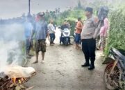 Tertimpa Patahan Pohon Kelapa, Petani di Aceh Utara Meninggal Dunia